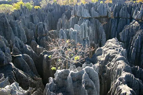 Tsingy de Bemaraha | Blog Madasarent