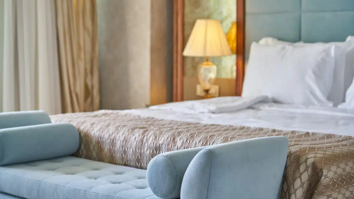 La désinsectisation professionnelle pour les punaises de lit : rapide et efficace !