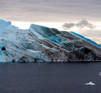 L'Arctique et l'Antarctique : deux mondes à découvrir