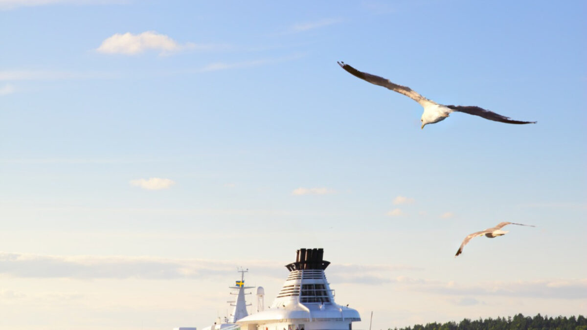 L'importance de prendre le temps de choisir son croisiériste