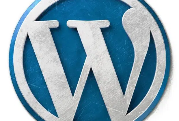 wordpress cms